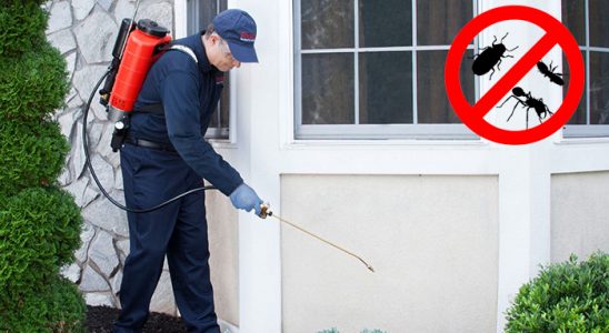 Güzelyalı Hamam Böceği İlaçlama böcek ilaçlama ve haşere kontrolü — ilaclama-tr.com